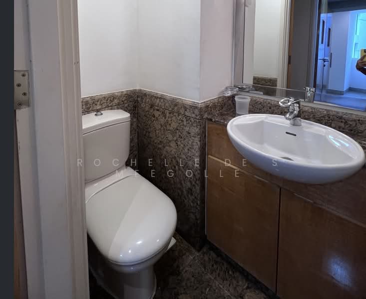 Grange 70, 70 Grange Road, 3 Bedrooms, 1,970 sqft, Condominium For Rent, by Rochelle De S Meegolle, 500242064 - Bathroom - PropertyGuru.com.sg