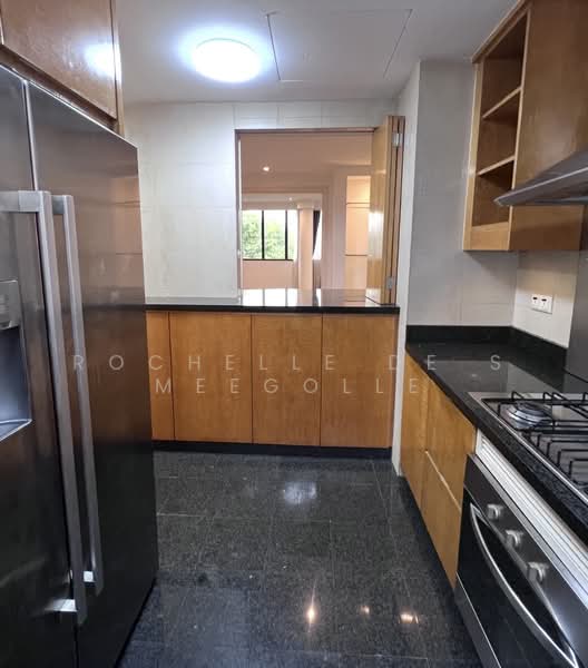 Grange 70, 70 Grange Road, 3 Bedrooms, 1,970 sqft, Condominium For Rent, by Rochelle De S Meegolle, 500242064 - Kitchen - PropertyGuru.com.sg