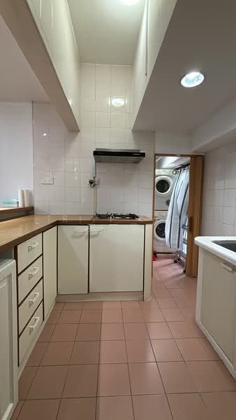 D'Oasia, 11 Lorong Melayu, 1 Bedroom, 570 sqft, Condominium For Rent, by Tripp Teo 张国栋, 500242070 - Kitchen - PropertyGuru.com.sg