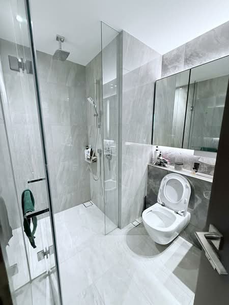 Piccadilly Grand, Northumberland Road, 3 Bedrooms, 883 sqft, Condominium For Rent, by Anthea Yeo 杨丽娇, 500242446 - Bathroom - PropertyGuru.com.sg
