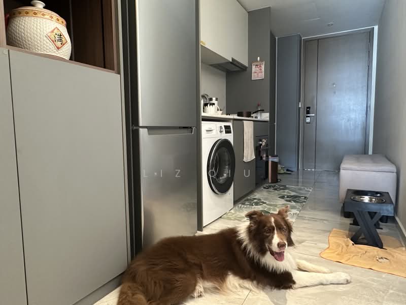 Affinity At Serangoon, , 2 Bedrooms, 732 sqft, Condominium For Sale, by Liz Qiu, 500242504 - Kitchen - PropertyGuru.com.sg