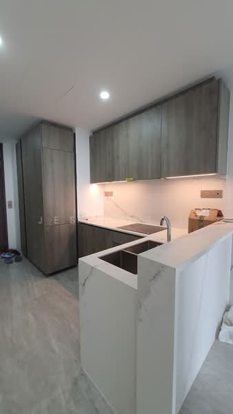 Leedon Green, 26 Leedon Heights, 2 Bedrooms, 710 sqft, Condominium For Sale, by Jessie Tan, 500242758 - Kitchen - PropertyGuru.com.sg