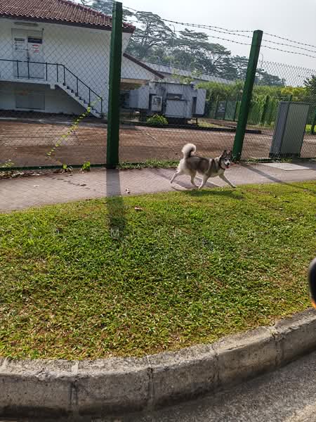 Semi D/ Bedok mrt/ renovated, Kew drive, 5 Bedrooms, 4,150 sqft, Semi-Detached House For Rent, by Desmond Tan, 500242774 - Exterior - PropertyGuru.com.sg