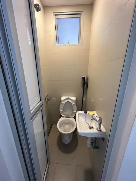 CityLife @ Tampines, Pasir Ris / Tampines, Room Rental, 200 sqft, Condominium For Rent, by Tricia Tay, 500242888 - Bathroom - PropertyGuru.com.sg