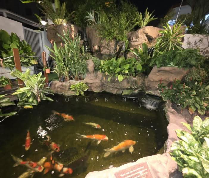 Kembangan, , Room Rental, 440 sqft, Semi-Detached House For Rent, by Jordan Neo, 500243125 - Matured koi pond with jumbo koi - PropertyGuru.com.sg