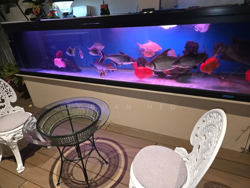 Kembangan, , Room Rental, 440 sqft, Semi-Detached House For Rent, by Jordan Neo, 500243125 - 10-ft fresh water aquarium - PropertyGuru.com.sg