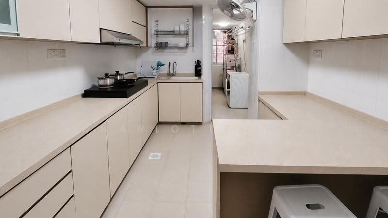 Palm Mansions, 345 Pasir Panjang Road, Buona Vista / West Coast / Clementi New Town, Room Rental, 150 sqft, Apartment For Rent, by Charlotte Lin, 500243151 - Kitchen - PropertyGuru.com.sg