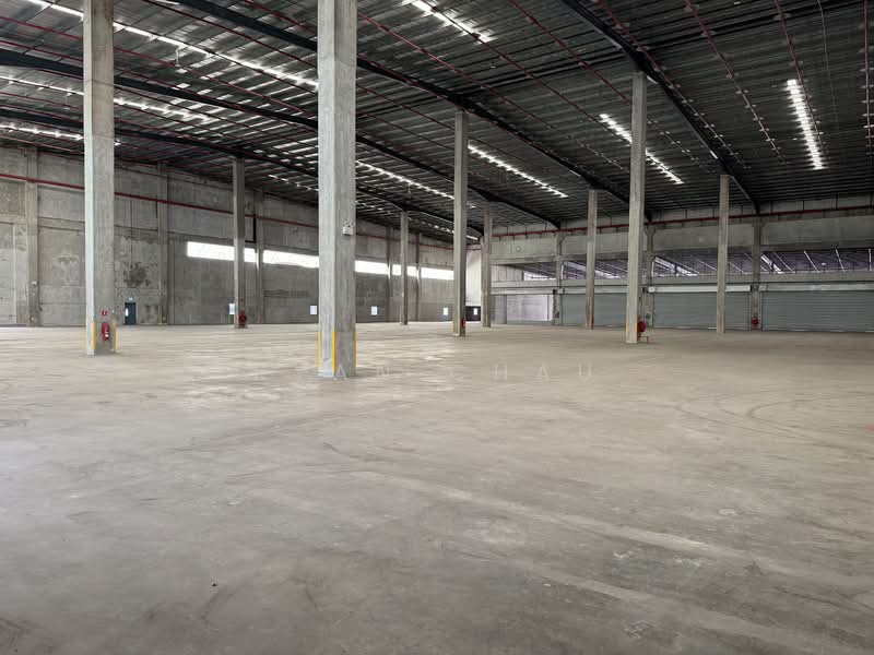 Dedicated Floor | 8m Clear | 11 Bays @ Changi, Changi, 60,000 sqft, Warehouse For Rent, by Ryan Chau, 500243199 - Interior - CommercialGuru.com.sg