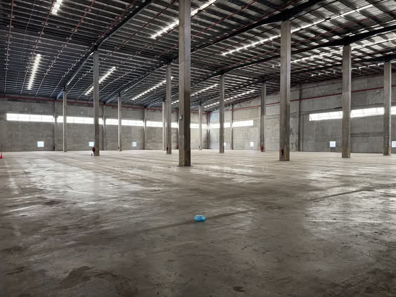 Dedicated Floor | 8m Clear | 11 Bays @ Changi, Changi, 60,000 sqft, Warehouse For Rent, by Ryan Chau, 500243199 - Interior - CommercialGuru.com.sg