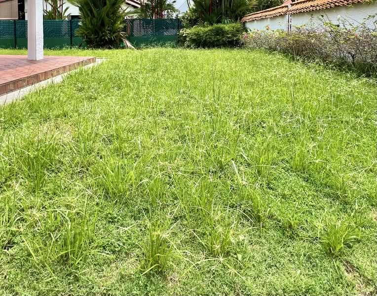 Rare On Higher Ground GCB Land Overlooking Gorgeous Landed View For Sale, Linden Drive, Cassia Drive, Ash Grove, Oriole Crescent, 4 Bedrooms, 2,300 sqft, Good Class Bungalow For Sale, by Roy Low, 500243285 - Garden - PropertyGuru.com.sg