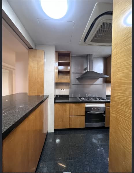 Grange 70, 70 Grange Road, 3 Bedrooms, 1,969 sqft, Condominium For Rent, by Ray Lim, 500243313 - Kitchen - PropertyGuru.com.sg