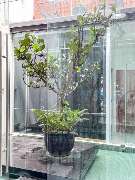 Joo Chiat Terrace, Joo Chiat, Room Rental, 100 sqft, Terraced House For Rent, by Elsie Ang, 500243332 - Exterior - PropertyGuru.com.sg