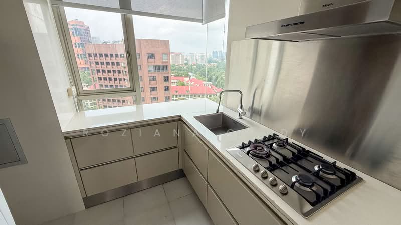 Ardmore II, 2 Ardmore Park, Tanglin / Holland / Bukit Timah, 4 Bedrooms, 2,024 sqft, Condominium For Rent, by Roziana Cindy, 500243398 - Kitchen - PropertyGuru.com.sg