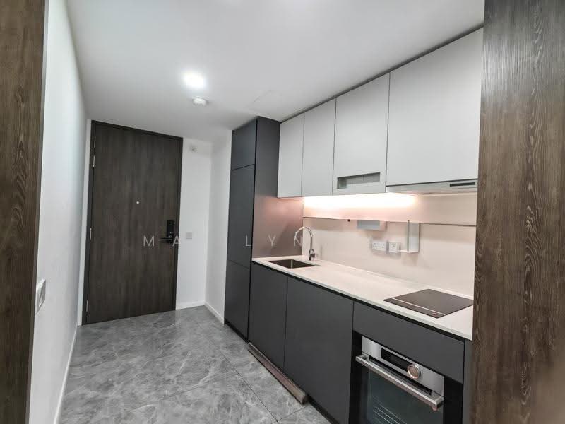 The M, 30 Middle Road, 2 Bedrooms, 592 sqft, Condominium For Rent, by Marilyn Tan, 500243410 - Kitchen - PropertyGuru.com.sg