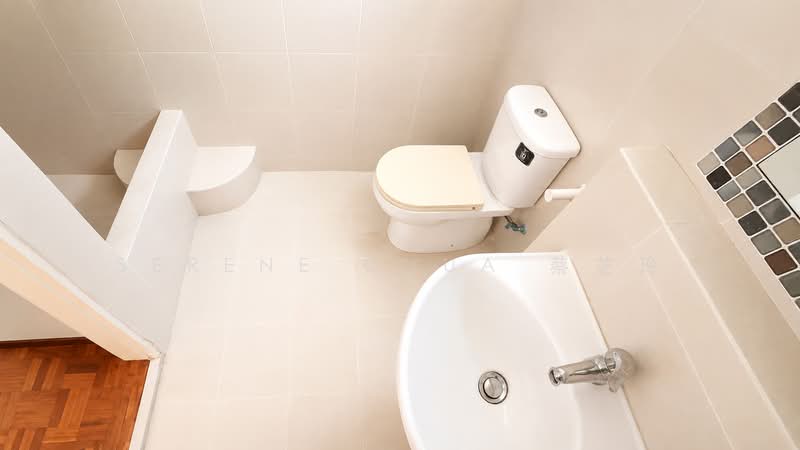 Bristol Lodge, 53 Bristol Road, 3 Bedrooms, 958 sqft, Condominium For Rent, by Serene Chua 蔡芝玲, 500243665 - Bathroom - PropertyGuru.com.sg