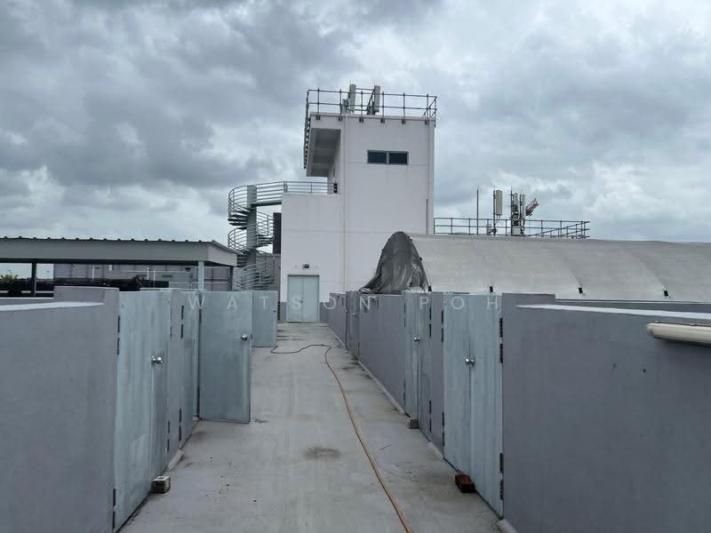 TG Building, 222 Tagore Lane, 5,329 sqft, Light Industrial (B1) For Rent, by Watson Poh, 500244135 - Roof - CommercialGuru.com.sg