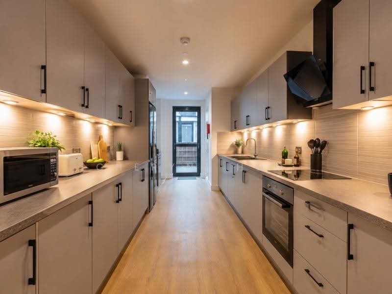 Coliving welcome, close to 2000sqft, Orchard / River Valley, 4 Bedrooms, 1,950 sqft, Condominium For Rent, by Cheryne Hoo, 500244168 - Kitchen - PropertyGuru.com.sg