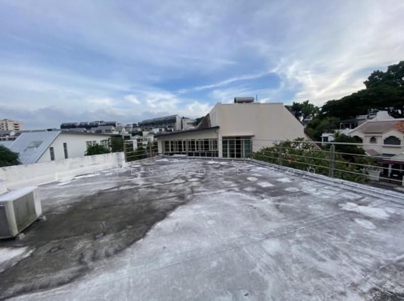 Opera Estate 7 bedrooms semi D | Lift possible | Suits extended family, 93, 7 Bedrooms, 4,100 sqft, Semi-Detached House For Sale, by James Jose Boo, 500244276 - PropertyGuru.com.sg