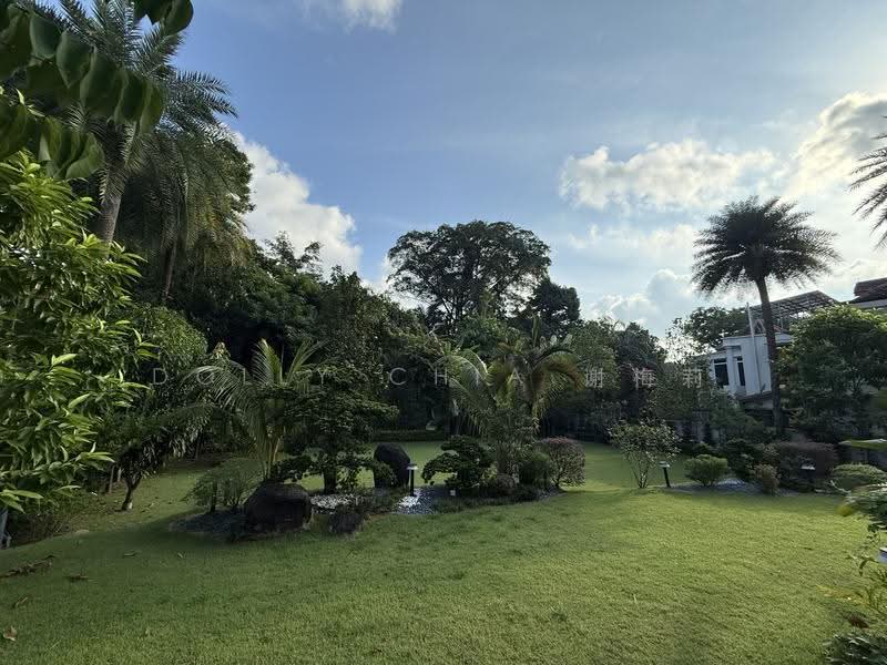 Oei Tiong Ham Park GCB, Oei Tiong Ham Park, Holland Road, Queen Astrid Park, Leedon Park, Belmont Park, Belmont Road, Cornwall Gardens, Bin Tong Park, Gallop Park, Ridout Road, Cluny Park, Nassim Road, Leedon Heights, Rebecca Road, Swettenham Road, Binjai Park, Cluny Road, 6 Bedrooms, 8,000 sqft, Good Class Bungalow For Sale, by Dolly Chia 谢梅莉, 500244384 - Garden - PropertyGuru.com.sg