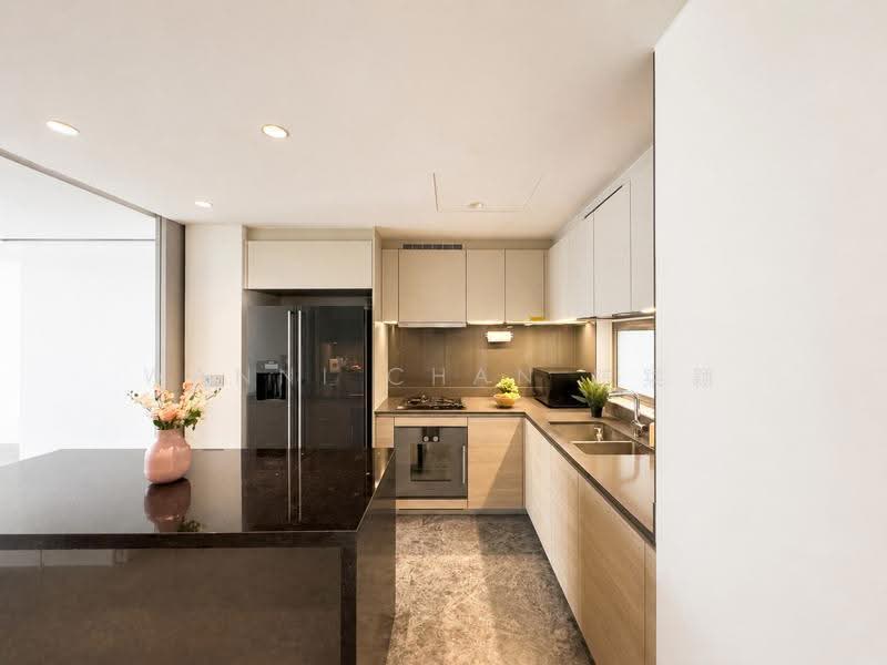 Riviere, 3 Jiak Kim Street, Alexandra / Commonwealth, 3 Bedrooms, 1,507 sqft, Condominium For Sale, by Wanni Chan 陈寀颖, 500245042 - Kitchen - PropertyGuru.com.sg