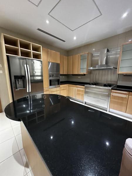 Ardmore Park, 9 Ardmore Park, Tanglin / Holland / Bukit Timah, 4 Bedrooms, 2,885 sqft, Condominium For Rent, by Ong Sandra, 500245211 - Kitchen - PropertyGuru.com.sg