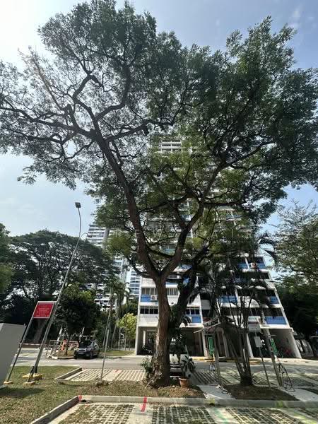 101 Spottiswoode Park Road, 101 Spottiswoode Park Road, 3 Bedrooms, 850 sqft, Condominium For Sale, by Andrew Nair, 500245476 - Exterior - PropertyGuru.com.sg
