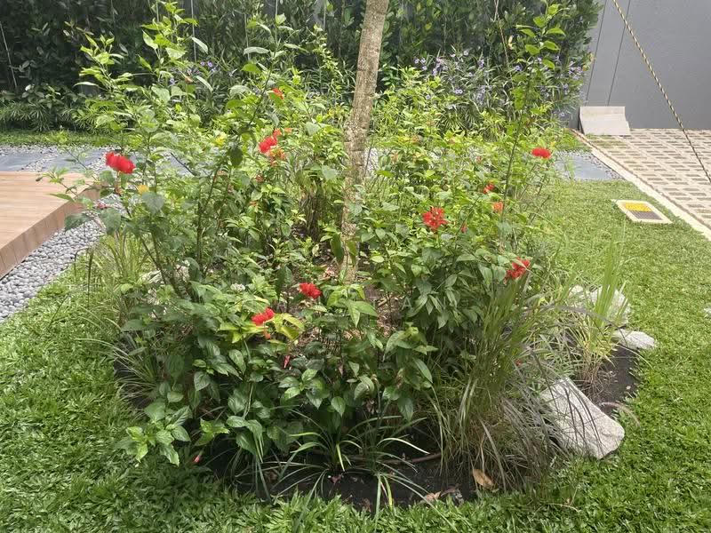 GCB HEART OF BUKIT TIMAH $38Mil, fifth ave, Tanglin / Holland / Bukit Timah, 7 Bedrooms, 9,000 sqft, Good Class Bungalow For Sale, by Dan Tan, 500245644 - Garden - PropertyGuru.com.sg