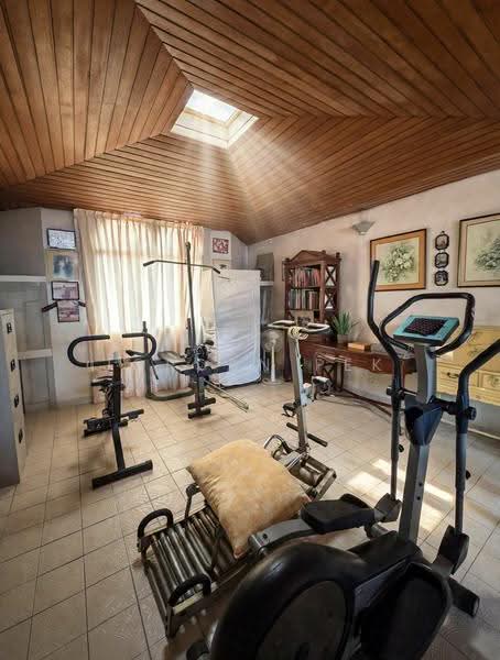 Dyson/Tan Sing Boh Road, Dyson Road, Newton / Novena, 4 Bedrooms, 4,200 sqft, Detached House For Sale, by Jordan Pek, 500245662 - Gym - PropertyGuru.com.sg