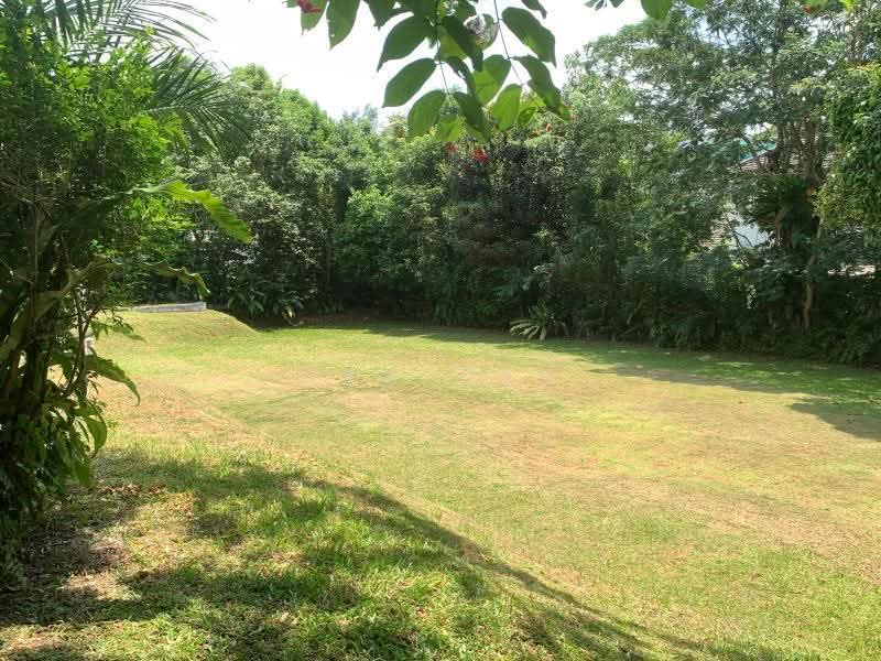 GCB ELEVATED SQUARISH BINJAI SWISS CLUB <$40 MIL, Clementi Park / Upper Bukit Timah, 5 Bedrooms, 5,555 sqft, Good Class Bungalow For Sale, by Dan Tan, 500245865 - Garden - PropertyGuru.com.sg