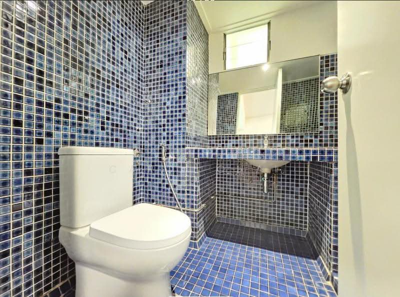 Chancery Court, 36A Dunearn Road, Newton / Novena, 3 Bedrooms, 2,271 sqft, Condominium For Rent, by Carol Chai, 500245885 - Bathroom - PropertyGuru.com.sg