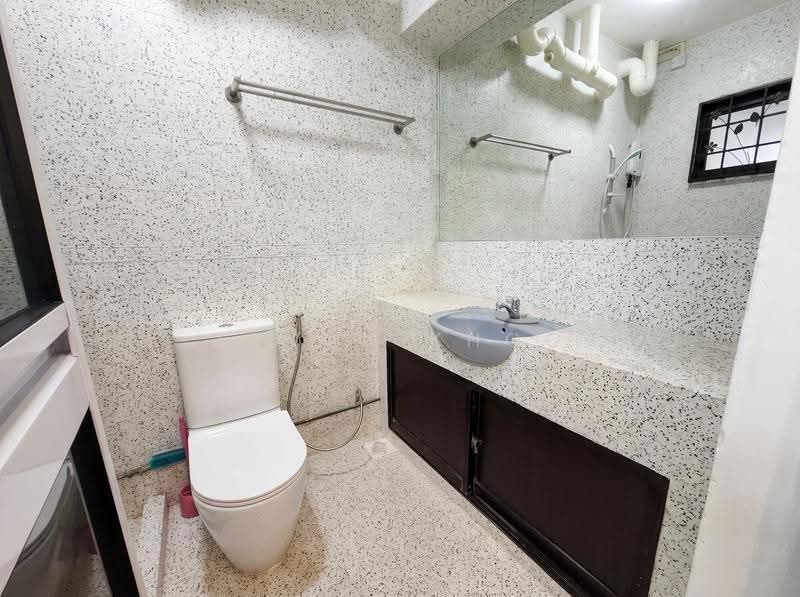 650A Jurong West Street 61, 650A Jurong West Street 61, 2 Bedrooms, 1,194 sqft, HDB Flat For Rent, by Jovan Khoo, 500245968 - Bathroom - PropertyGuru.com.sg