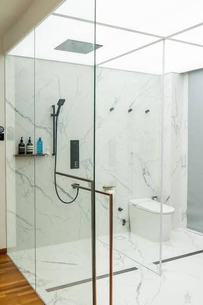 Lor Ong Lye, Hougang / Punggol / Sengkang, 8 Bedrooms, 5,496 sqft, Corner Terrace For Sale, by Greg Pan, 500246184 - Bathroom - PropertyGuru.com.sg