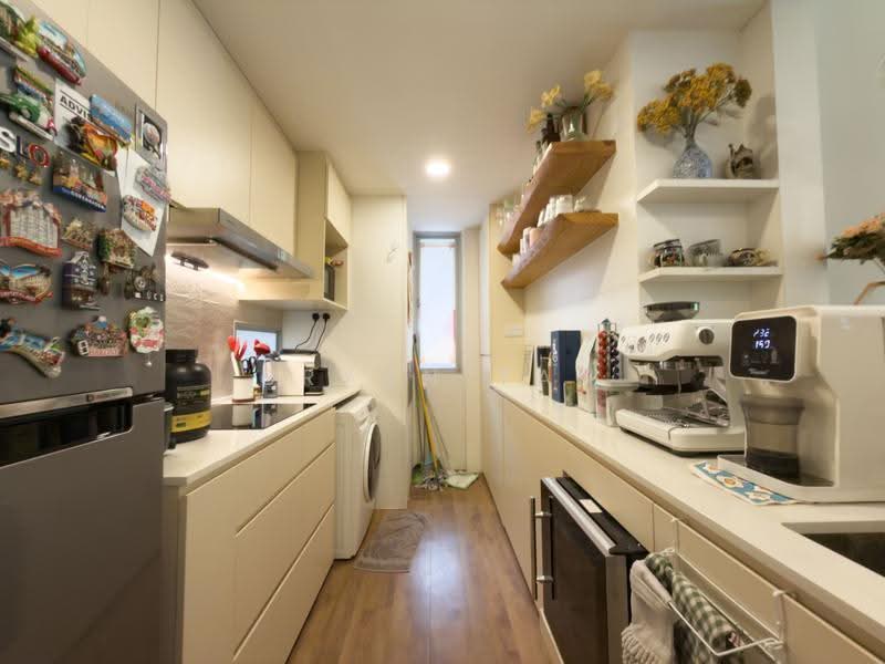 M21 Residences, 21 Mandalay Road, Newton / Novena, 1 Bedroom, 743 sqft, Apartment For Rent, by Bryan Tan, 500246207 - Kitchen - PropertyGuru.com.sg