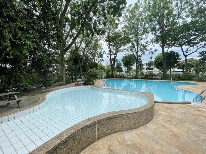 Cheap Unit near Dakota MRT, Dunman Road, Eunos / Geylang / Paya Lebar, Studio, 300 sqft, Condominium For Rent, by Alan Tsui 徐先生, 500246215 - Pool - PropertyGuru.com.sg