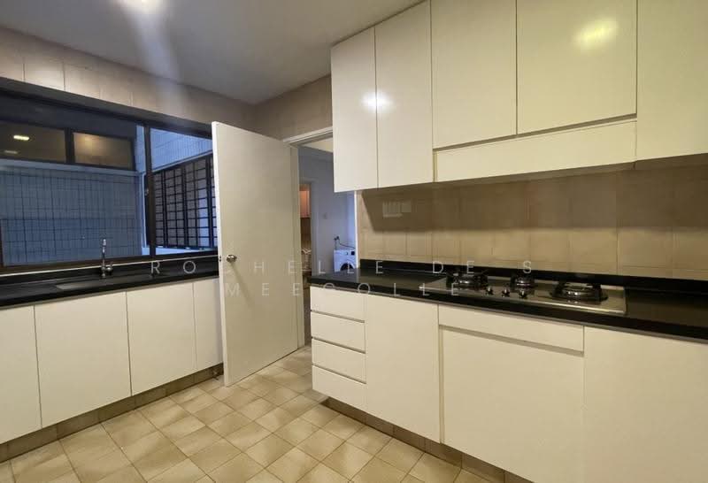 The Cairnhill, 4 Cairnhill Rise, Orchard / River Valley, 4 Bedrooms, 2,809 sqft, Condominium For Rent, by Rochelle De S Meegolle, 500246504 - Kitchen - PropertyGuru.com.sg