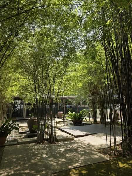 The Amery, 18 Lorong K Telok Kurau, East Coast / Marine Parade, 6 Bedrooms, 2,315 sqft, Condominium For Sale, by Dannie Han, 500246533 - Garden - PropertyGuru.com.sg