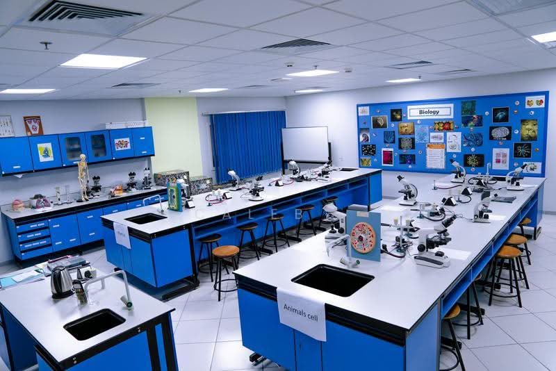 international school for takeover, Orchard / River Valley, 14,000 sqft, Other Retail For Rent, by Caleb ., 500246564 - Study - CommercialGuru.com.sg