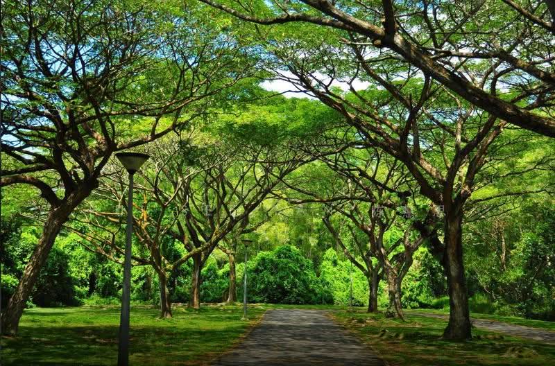 Pasir Ris Beach Park, 72 Pasir Ris Terrace, Pasir Ris / Tampines, 4 Bedrooms, 2,922 sqft, Terraced House For Sale, by Hui See Tan 陈慧思, 500246734 - Exterior - PropertyGuru.com.sg