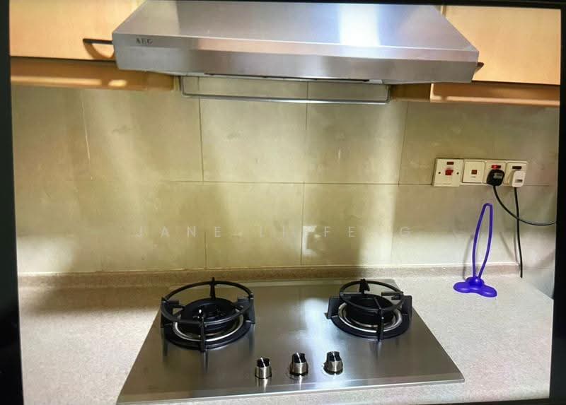 Nineteen Shelford, 19 Shelford Road, Newton / Novena, 1 Bedroom, 721 sqft, Condominium For Rent, by Jane Li Feng, 500246786 - Kitchen - PropertyGuru.com.sg