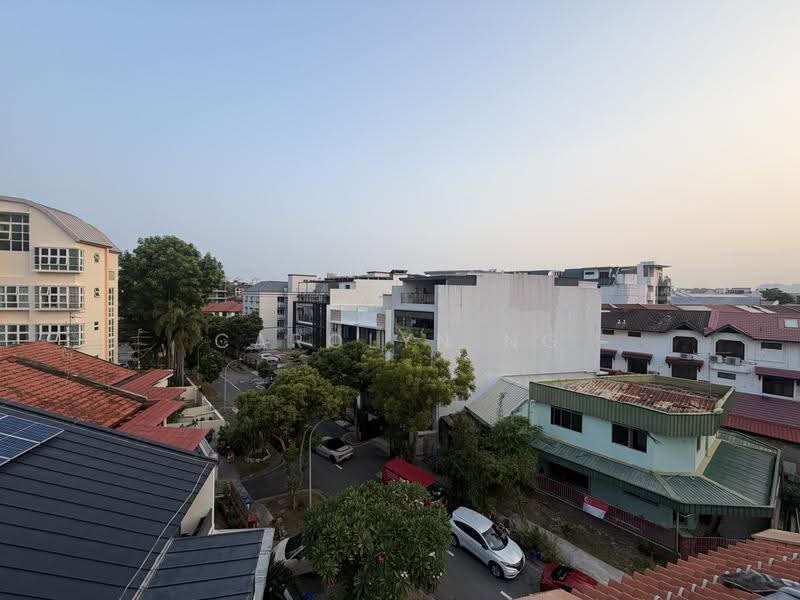 Joo Chiat Conservation Home, Joo Chiat Place, East Coast / Marine Parade, 4 Bedrooms, 3,380 sqft, Conservation House For Rent, by Carolyn Ng, 500246918 - Garden view - PropertyGuru.com.sg