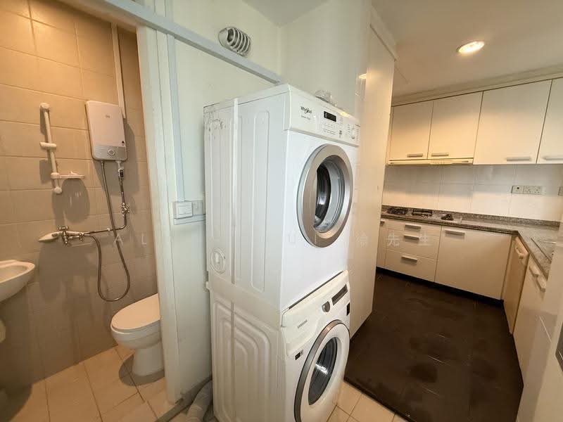 Amaryllis Ville, 22 Newton Road, Newton / Novena, Room Rental, 130 sqft, Condominium For Rent, by Alan Tsui 徐先生, 500247257 - Bathroom - PropertyGuru.com.sg