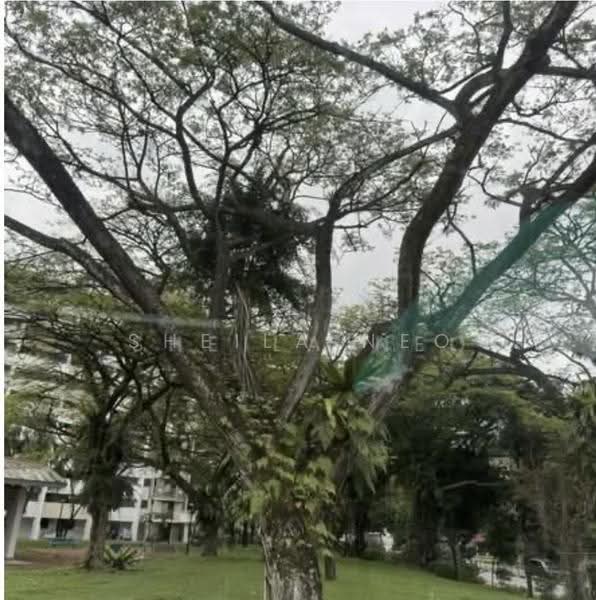 17 Lorong 7 Toa Payoh, 17 Lorong 7 Toa Payoh, Balestier / Toa Payoh, 3 Bedrooms, 829 sqft, HDB Flat For Sale, by Sheila Neo, 500247273 - PropertyGuru.com.sg