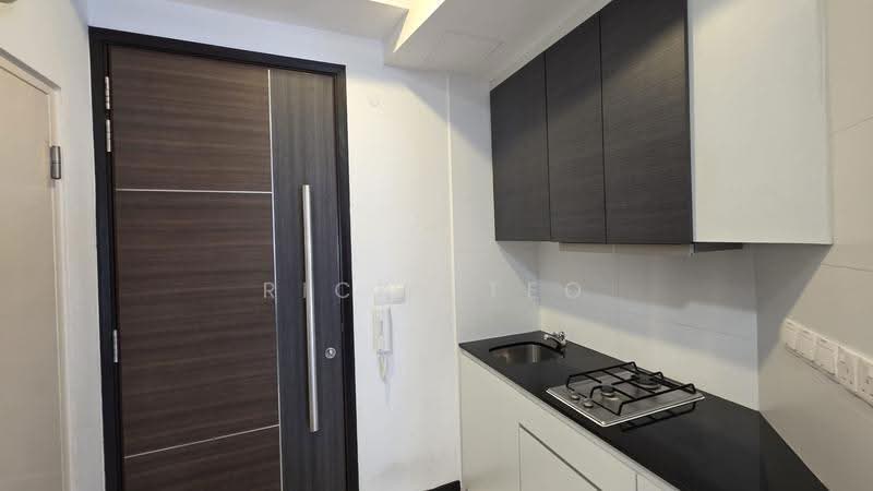 Viva Vista, 3 South Buona Vista Road, Buona Vista / West Coast / Clementi New Town, 1 Bedroom, 344 sqft, Apartment For Rent, by Ricky Teo, 500247353 - Kitchen - PropertyGuru.com.sg