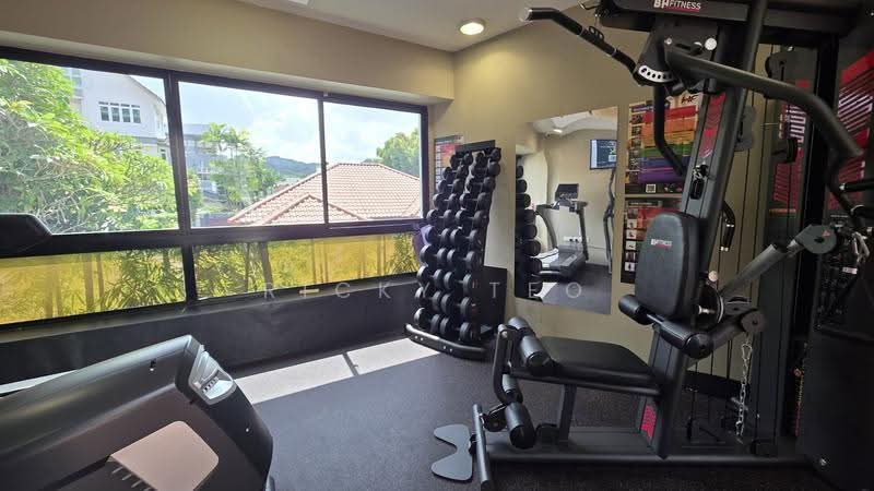 Viva Vista, 3 South Buona Vista Road, Buona Vista / West Coast / Clementi New Town, 1 Bedroom, 344 sqft, Apartment For Rent, by Ricky Teo, 500247353 - Gym - PropertyGuru.com.sg