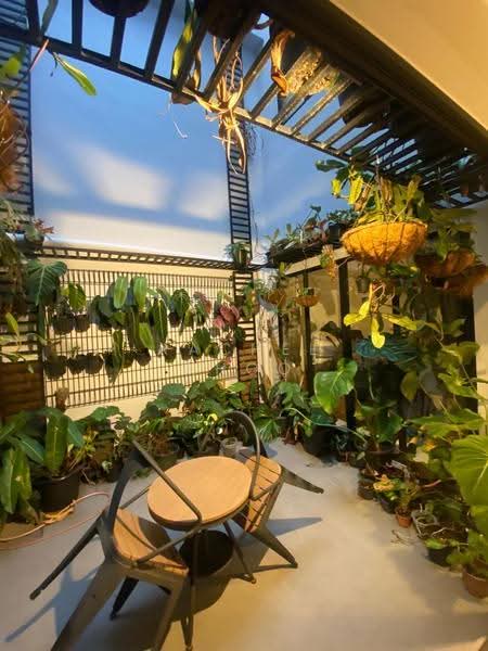 Jalan Rindu, Hougang / Punggol / Sengkang, 7 Bedrooms, 5,000 sqft, Terraced House For Sale, by Rachel Khoo, 500247603 - Garden - PropertyGuru.com.sg