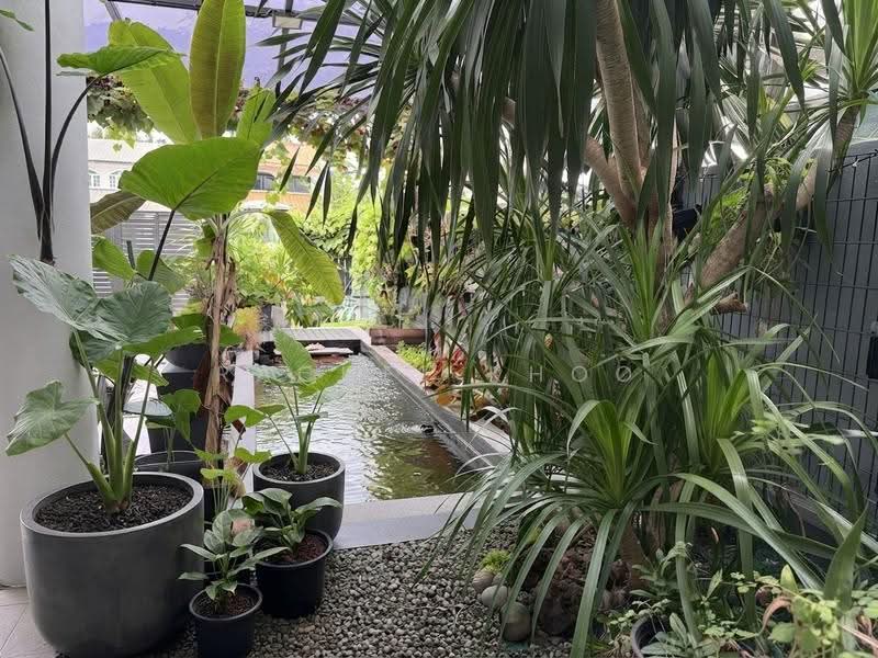 Jalan Rindu, Hougang / Punggol / Sengkang, 7 Bedrooms, 5,000 sqft, Terraced House For Sale, by Rachel Khoo, 500247603 - Garden - PropertyGuru.com.sg
