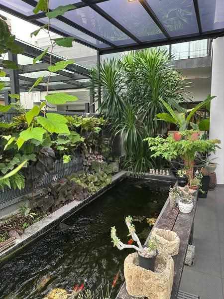 Jalan Rindu, Bartley Road, Serangoon Ave 1, How Sun Dr, Lorong Gambir, Lorong Penchalak,, Hougang / Punggol / Sengkang, 7 Bedrooms, 5,000 sqft, Terraced House For Sale, by Rachel Khoo, 500247603 - Garden - PropertyGuru.com.sg