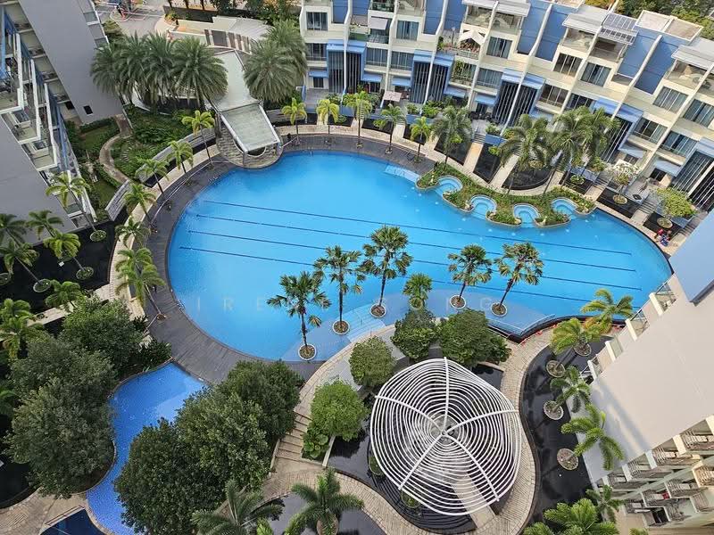 Skies Miltonia, 31 Miltonia Close, Sembawang / Yishun, 4 Bedrooms, 3,574 sqft, Condominium For Sale, by Irene Song, 500247784 - Pool - PropertyGuru.com.sg
