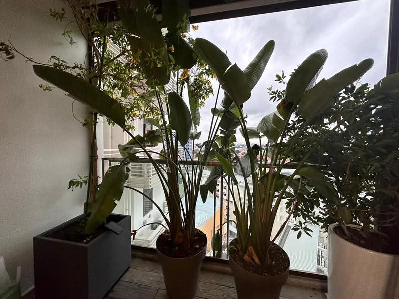 Seaside Residences, 12 Siglap Link, East Coast / Marine Parade, 2 Bedrooms, 678 sqft, Condominium For Rent, by Edward Yap, 500247992 - Balcony - PropertyGuru.com.sg
