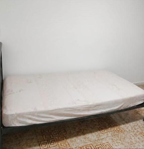 502 Ang Mo Kio Avenue 5, 502 Ang Mo Kio Avenue 5, Ang Mo Kio / Bishan / Thomson, Room Rental, 120 sqft, HDB Flat For Rent, by Steven Choo, 500248492 - Bedroom - PropertyGuru.com.sg